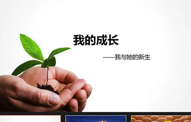 社交媒体与现实：我们对成功的误解-90副业资源网