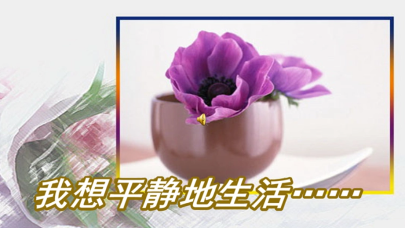 如何真正放下烦恼，享受平静生活-90资源网