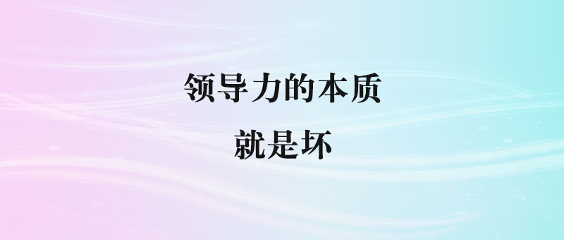 领导力的本质：就是坏-90副业资源网