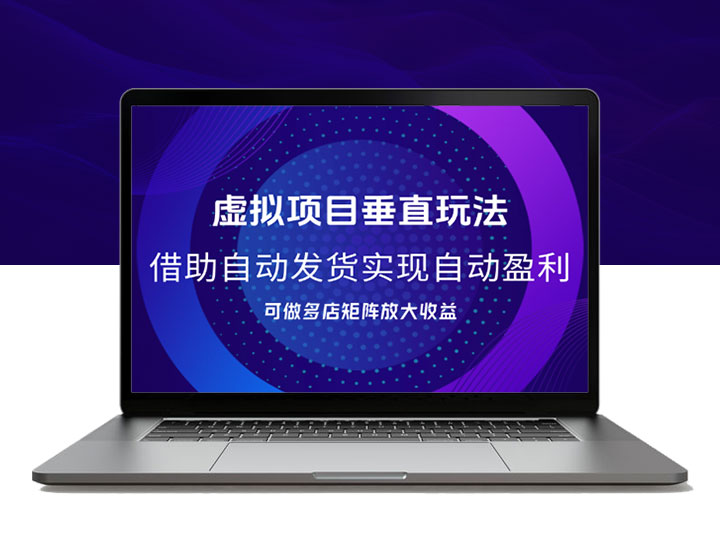虚拟项目垂直玩法，借助自动发货软件，实现自动盈利